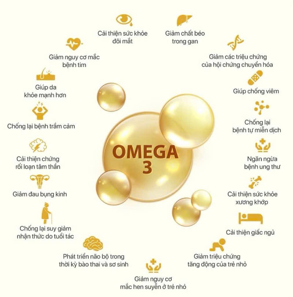 “Dưỡng chất nhỏ – Lợi ích lớn!” Cùng khám phá sức mạnh bí ẩn của Omega-3!