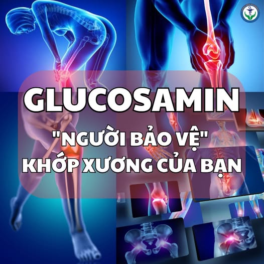 GLUCOSAMIN – "NGƯỜI BẢO VỆ" KHỚP XƯƠNG CỦA BẠN