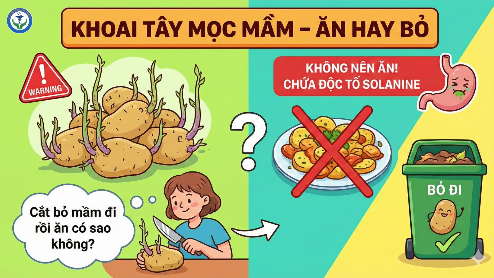 Khoai Tây Mọc Mầm Có Ăn Được Không? Cảnh Báo Ngộ Độc Solanine