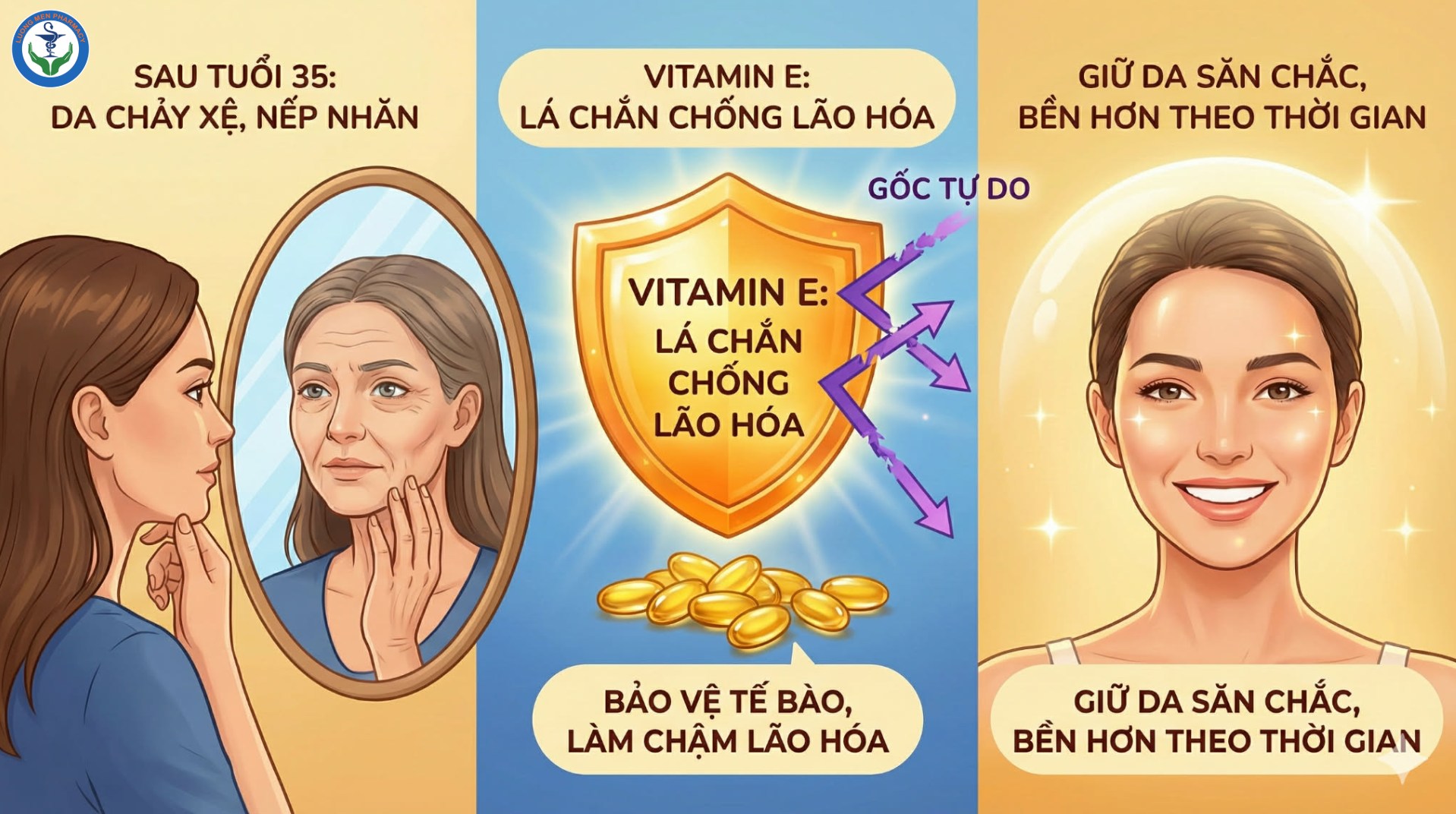 Vitamin E – “Lá Chắn” Chống Lão Hóa Cho Da Phụ Nữ Sau 35 Tuổi