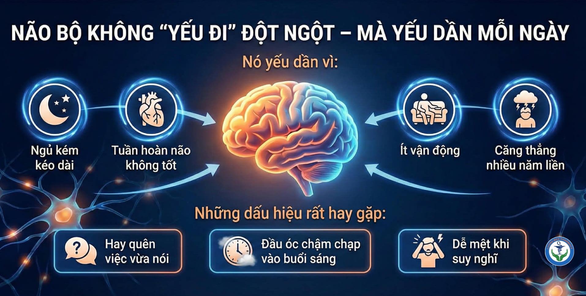 Não Bộ Không “Yếu Đi” Đột Ngột – Mà Yếu Dần Mỗi Ngày Nếu Không Được Chăm Sóc Đúng