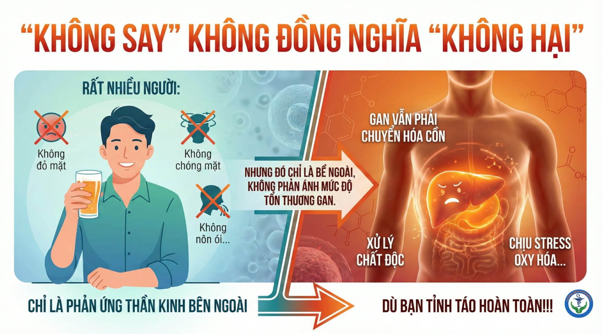“KHÔNG SAY” KHÔNG ĐỒNG NGHĨA “KHÔNG HẠI”