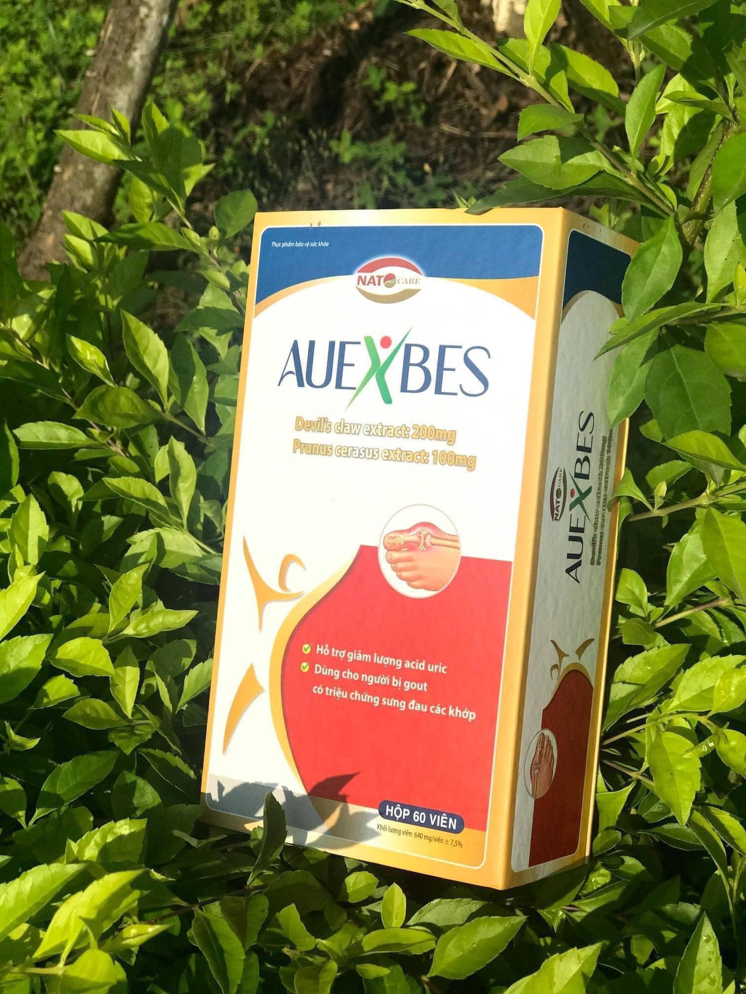 AUEXBES- HỖ TRỢ GOUT