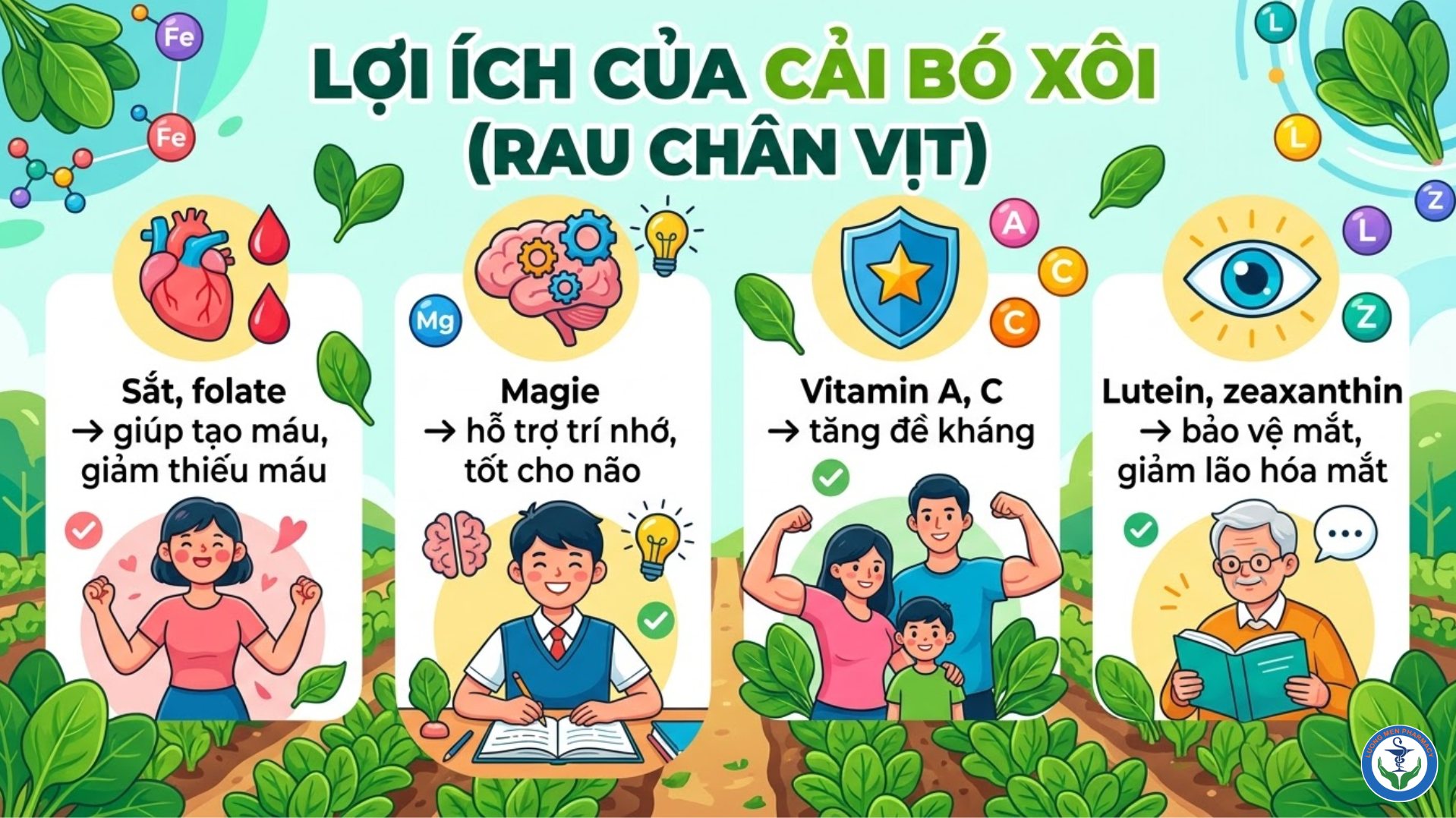 Sau Tuổi 60: Loại Rau Giúp Bổ Máu, Tốt Não, Sáng Mắt Mà Nhiều Người Chưa Biết